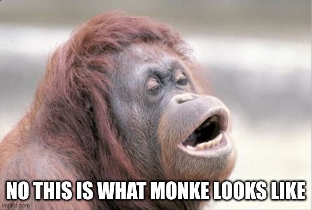 Monkey OOH Meme | NO THIS IS WHAT MONKE LOOKS LIKE | image tagged in memes,monkey ooh | made w/ Imgflip meme maker