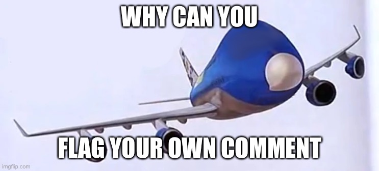 ? | WHY CAN YOU; FLAG YOUR OWN COMMENT | made w/ Imgflip meme maker