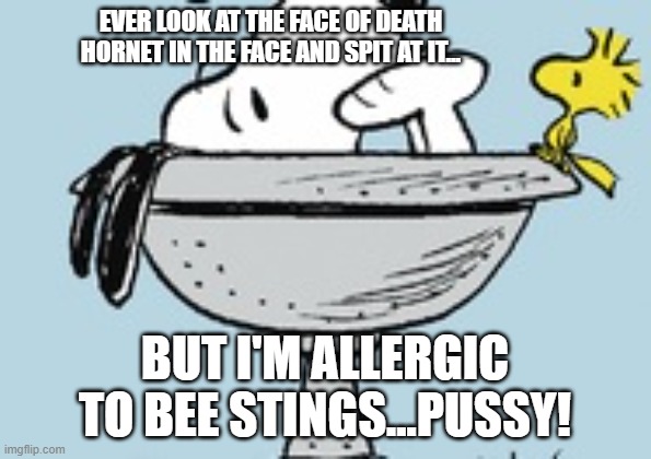 EVER LOOK AT THE FACE OF DEATH HORNET IN THE FACE AND SPIT AT IT... BUT I'M ALLERGIC TO BEE STINGS...PUSSY! | made w/ Imgflip meme maker