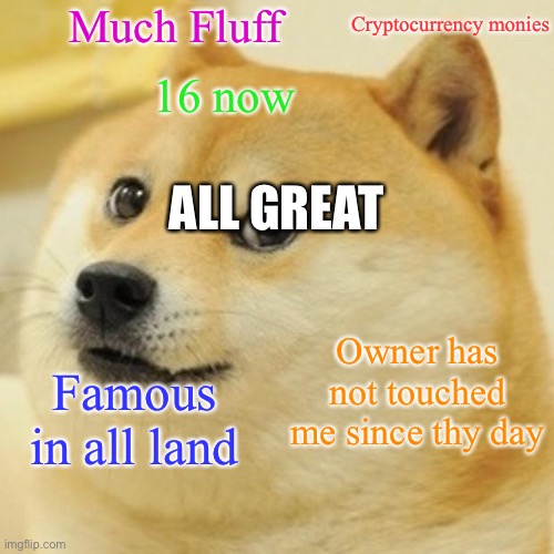 Doge Meme | Much Fluff; Cryptocurrency monies; 16 now; ALL GREAT; Owner has not touched me since thy day; Famous in all land | image tagged in memes,doge | made w/ Imgflip meme maker