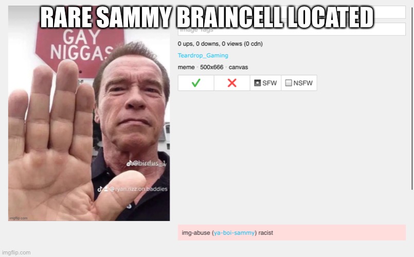 NO WAYYYY HE HAS A SIGN OF INTELLIGENCE | RARE SAMMY BRAINCELL LOCATED | image tagged in h | made w/ Imgflip meme maker