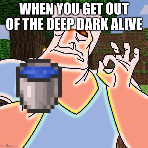 Minecraft meme | WHEN YOU GET OUT OF THE DEEP DARK ALIVE | image tagged in minecraft meme | made w/ Imgflip meme maker