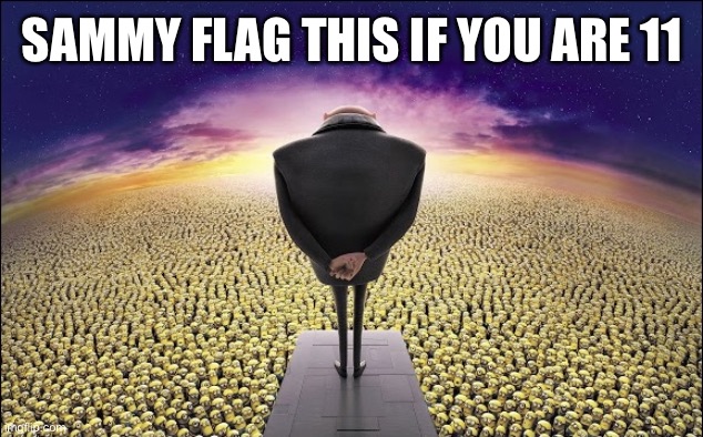 Gru | SAMMY FLAG THIS IF YOU ARE 11 | image tagged in gru | made w/ Imgflip meme maker