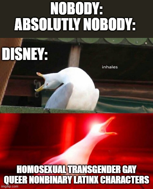 Disney be like | NOBODY:
ABSOLUTLY NOBODY:; DISNEY:; HOMOSEXUAL TRANSGENDER GAY QUEER NONBINARY LATINX CHARACTERS | image tagged in inhaling seagull | made w/ Imgflip meme maker