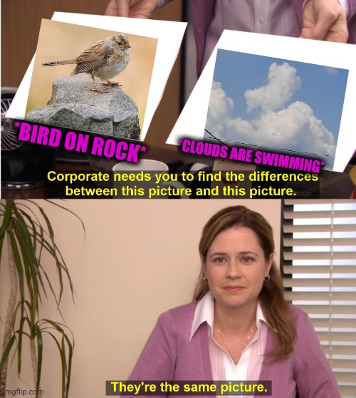 -Tunes over spring, they're doing so well! | *BIRD ON ROCK*; *CLOUDS ARE SWIMMING* | image tagged in memes,they're the same picture,angry birds,the rock,clouds,swimming pool | made w/ Imgflip meme maker