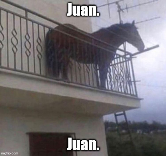 Juan | Juan. Juan. | image tagged in juan | made w/ Imgflip meme maker