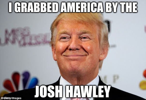 Donald trump approves | I GRABBED AMERICA BY THE JOSH HAWLEY | image tagged in donald trump approves | made w/ Imgflip meme maker