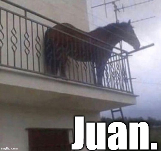 Juan | Juan. | image tagged in juan | made w/ Imgflip meme maker