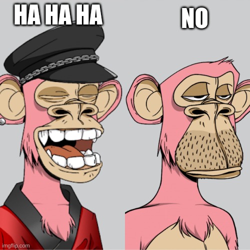 ape ha ha no | HA HA HA NO | image tagged in ape ha ha no | made w/ Imgflip meme maker