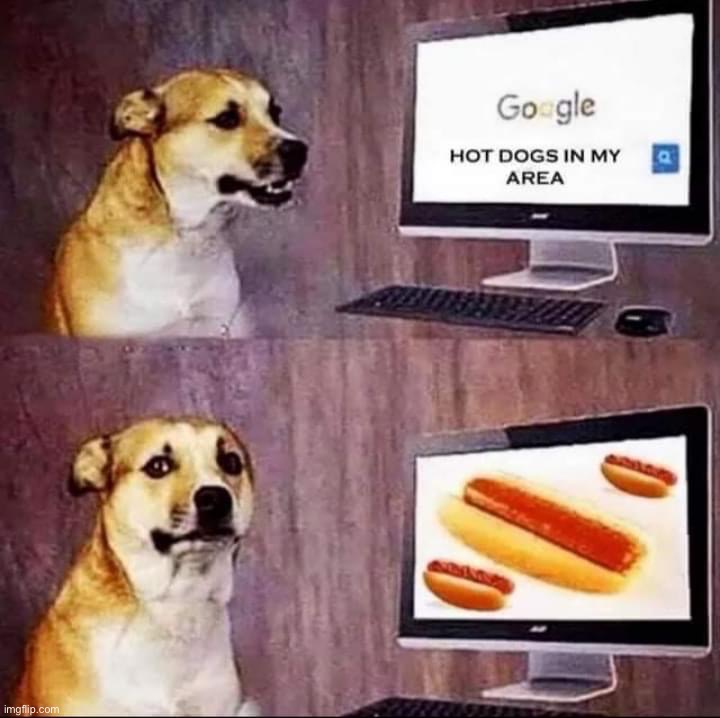 Hot dogs in my area | image tagged in hot dogs in my area | made w/ Imgflip meme maker
