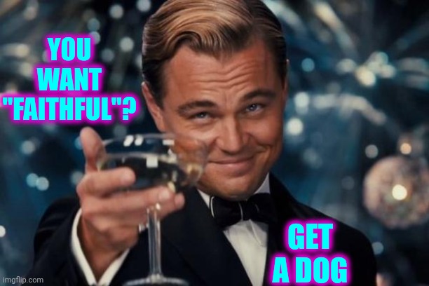 Dog Are Faithful | YOU WANT "FAITHFUL"? GET A DOG | image tagged in memes,leonardo dicaprio cheers,women vs men,men are pigs,unfaithful | made w/ Imgflip meme maker