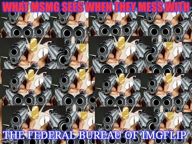Vote FBI party | WHAT MSMG SEES WHEN THEY MESS WITH; THE FEDERAL BUREAU OF IMGFLIP | image tagged in why is the fbi here,imgflip,president | made w/ Imgflip meme maker