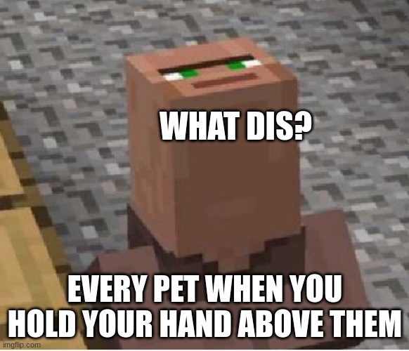 Minecraft Villager Looking Up | WHAT DIS? EVERY PET WHEN YOU HOLD YOUR HAND ABOVE THEM | image tagged in minecraft villager looking up | made w/ Imgflip meme maker