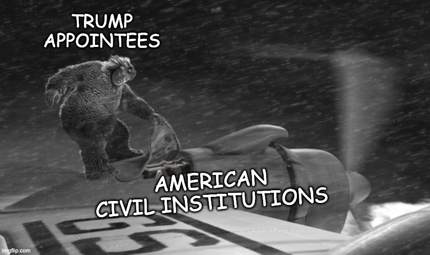 TRUMP
APPOINTEES AMERICAN CIVIL INSTITUTIONS | made w/ Imgflip meme maker