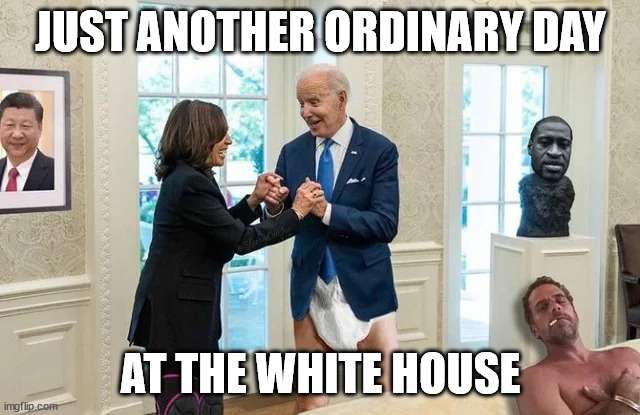 So happy to hear Joe is recovering from Covid... | JUST ANOTHER ORDINARY DAY; AT THE WHITE HOUSE | image tagged in dementia,joe biden | made w/ Imgflip meme maker