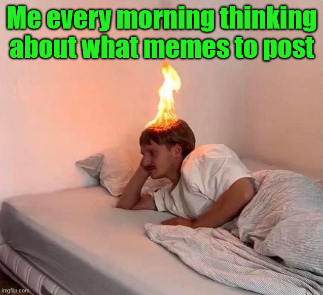 Me every morning thinking about what memes to post | image tagged in memes | made w/ Imgflip meme maker