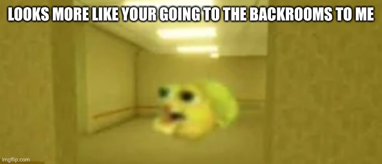 pufferfish in the backrooms | LOOKS MORE LIKE YOUR GOING TO THE BACKROOMS TO ME | image tagged in pufferfish in the backrooms | made w/ Imgflip meme maker