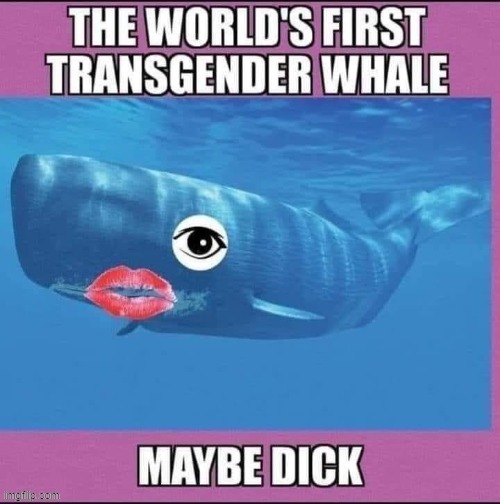 Moby | image tagged in whale | made w/ Imgflip meme maker