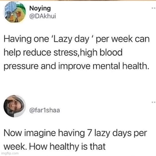 Lazy benefits | image tagged in lazy | made w/ Imgflip meme maker