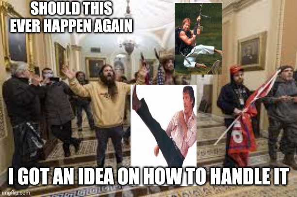 Capitol insurrection, january 6th. | SHOULD THIS EVER HAPPEN AGAIN; I GOT AN IDEA ON HOW TO HANDLE IT | image tagged in chuck norris,senate | made w/ Imgflip meme maker