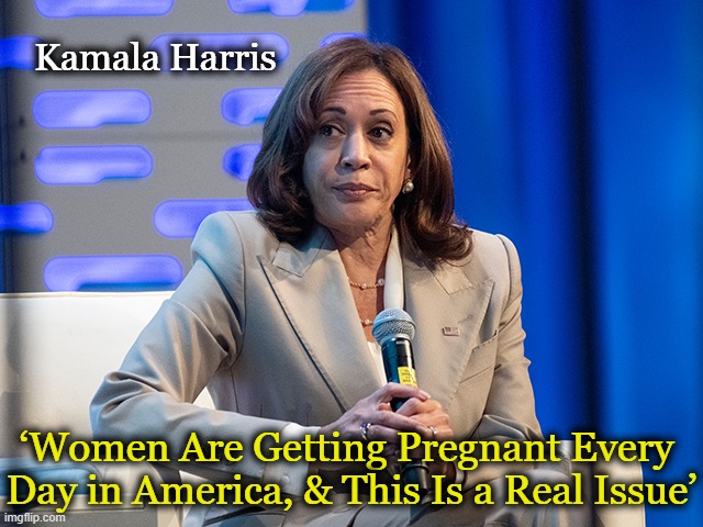 Daily Words of Wisdom From The VP of the U.S.A. | Kamala Harris; ‘Women Are Getting Pregnant Every 
Day in America, & This Is a Real Issue’ | image tagged in politics,kamala harris,words of wisdom,psa,the gift that keeps on giving,cackling kamala | made w/ Imgflip meme maker