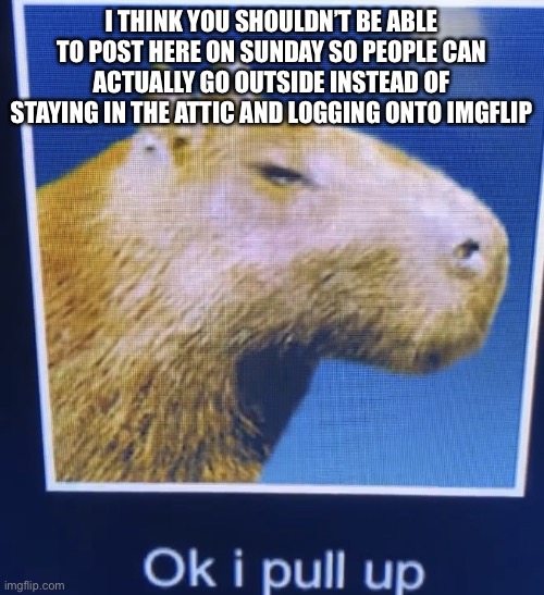 ok i pull up | I THINK YOU SHOULDN’T BE ABLE TO POST HERE ON SUNDAY SO PEOPLE CAN ACTUALLY GO OUTSIDE INSTEAD OF STAYING IN THE ATTIC AND LOGGING ONTO IMGFLIP | image tagged in ok i pull up | made w/ Imgflip meme maker