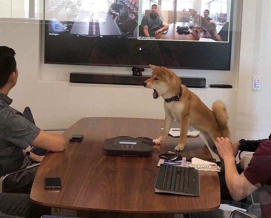 High Quality This whole meeting could have been an email Blank Meme Template