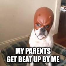 Daredevil dog | MY PARENTS GET BEAT UP BY ME | image tagged in daredevil dog | made w/ Imgflip meme maker