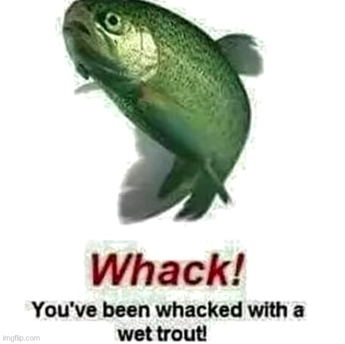Whack! You've been whacked with a wet trout! | image tagged in whack you've been whacked with a wet trout | made w/ Imgflip meme maker