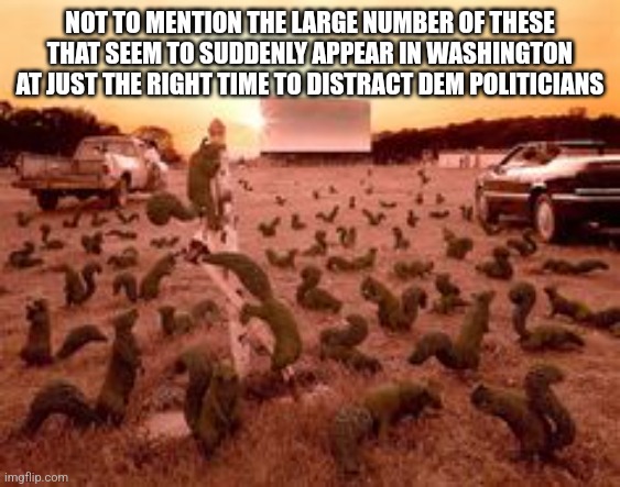 NOT TO MENTION THE LARGE NUMBER OF THESE THAT SEEM TO SUDDENLY APPEAR IN WASHINGTON AT JUST THE RIGHT TIME TO DISTRACT DEM POLITICIANS | made w/ Imgflip meme maker