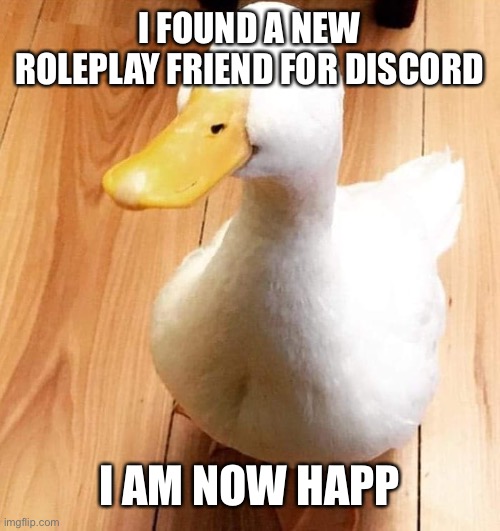 SMILE DUCK | I FOUND A NEW ROLEPLAY FRIEND FOR DISCORD; I AM NOW HAPP | image tagged in smile duck | made w/ Imgflip meme maker