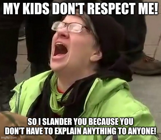 Crying liberal | MY KIDS DON'T RESPECT ME! SO I SLANDER YOU BECAUSE YOU DON'T HAVE TO EXPLAIN ANYTHING TO ANYONE! | image tagged in crying liberal | made w/ Imgflip meme maker