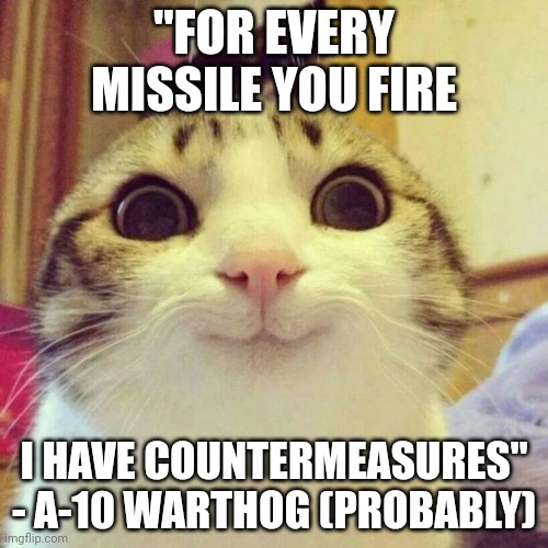 Smiling Cat | "FOR EVERY MISSILE YOU FIRE; I HAVE COUNTERMEASURES"
- A-10 WARTHOG (PROBABLY) | image tagged in memes,smiling cat | made w/ Imgflip meme maker