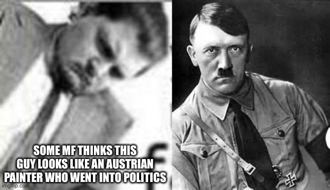 SOME MF THINKS THIS GUY LOOKS LIKE AN AUSTRIAN PAINTER WHO WENT INTO POLITICS | image tagged in adolf hitler | made w/ Imgflip meme maker