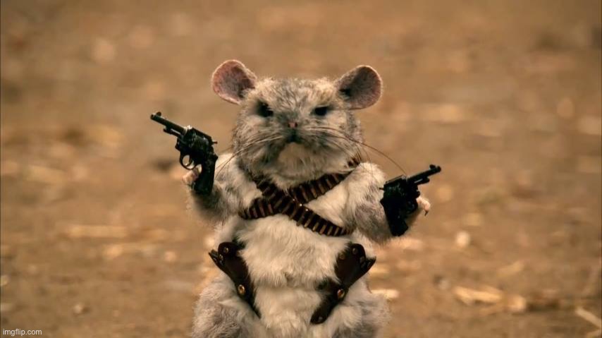 chinchilla warrior | image tagged in chinchilla warrior | made w/ Imgflip meme maker