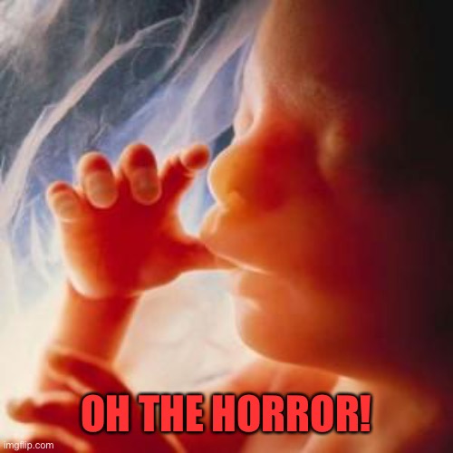 Fetus | OH THE HORROR! | image tagged in fetus | made w/ Imgflip meme maker