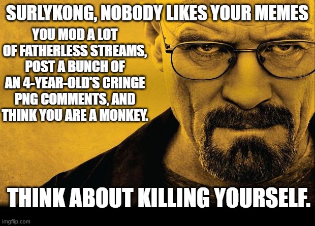 Breaking bad | YOU MOD A LOT OF FATHERLESS STREAMS, POST A BUNCH OF AN 4-YEAR-OLD'S CRINGE PNG COMMENTS, AND THINK YOU ARE A MONKEY. SURLYKONG, NOBODY LIKES YOUR MEMES; THINK ABOUT KILLING YOURSELF. | image tagged in breaking bad | made w/ Imgflip meme maker