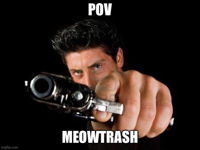 Guy With Gun | POV MEOWTRASH | image tagged in guy with gun | made w/ Imgflip meme maker