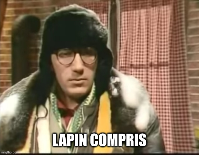 lapin compris | LAPIN COMPRIS | image tagged in lapin compris | made w/ Imgflip meme maker