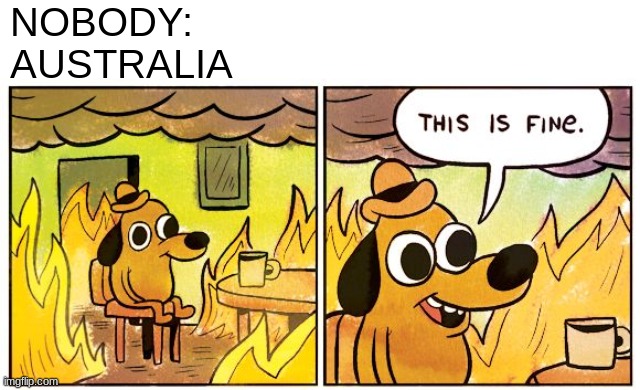 A normal day in Australia | NOBODY:
AUSTRALIA | image tagged in memes,this is fine,australia,fire | made w/ Imgflip meme maker