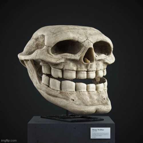 Homo Trollius Skull | image tagged in homo trollius skull | made w/ Imgflip meme maker