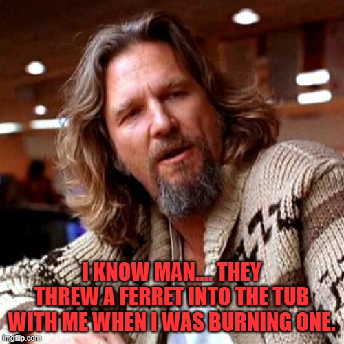 Confused Lebowski Meme | I KNOW MAN.... THEY THREW A FERRET INTO THE TUB WITH ME WHEN I WAS BURNING ONE. | image tagged in memes,confused lebowski | made w/ Imgflip meme maker