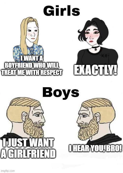 Girls vs Boys | I WANT A BOYFRIEND WHO WILL TREAT ME WITH RESPECT; EXACTLY! I JUST WANT A GIRLFRIEND; I HEAR YOU, BRO! | image tagged in girls vs boys | made w/ Imgflip meme maker