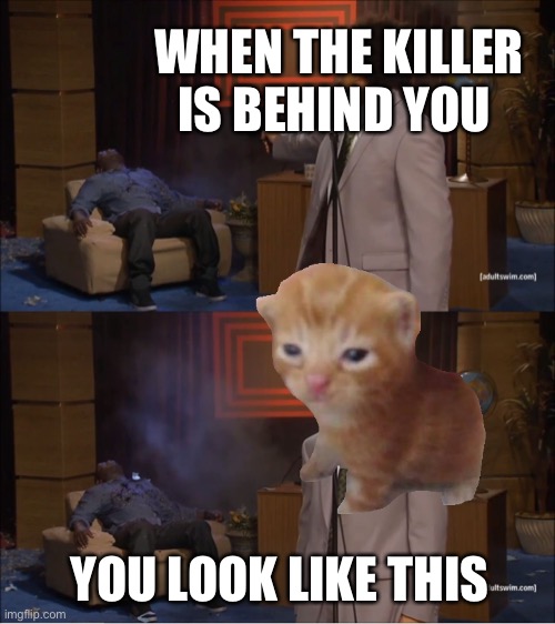 Kitty |  WHEN THE KILLER IS BEHIND YOU; YOU LOOK LIKE THIS | image tagged in memes,who killed hannibal | made w/ Imgflip meme maker