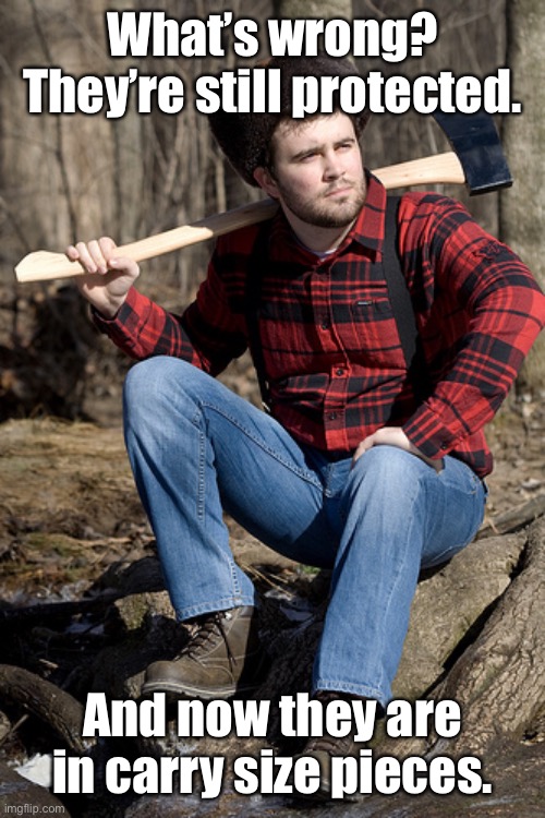 Solemn Lumberjack Meme | What’s wrong? They’re still protected. And now they are in carry size pieces. | image tagged in memes,solemn lumberjack | made w/ Imgflip meme maker