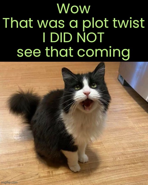 Wow
That was a plot twist
I DID NOT see that coming | made w/ Imgflip meme maker