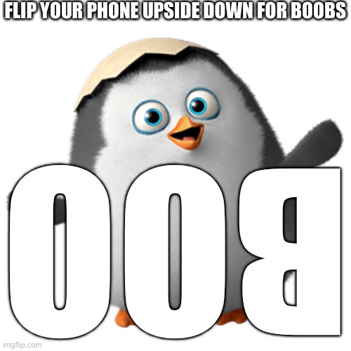Baby Private | FLIP YOUR PHONE UPSIDE DOWN FOR BOOBS; BOO | image tagged in baby private | made w/ Imgflip meme maker