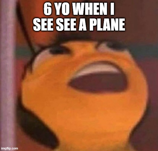 Bee Movie | 6 YO WHEN I SEE SEE A PLANE | image tagged in bee movie,memes,funny,airplane | made w/ Imgflip meme maker