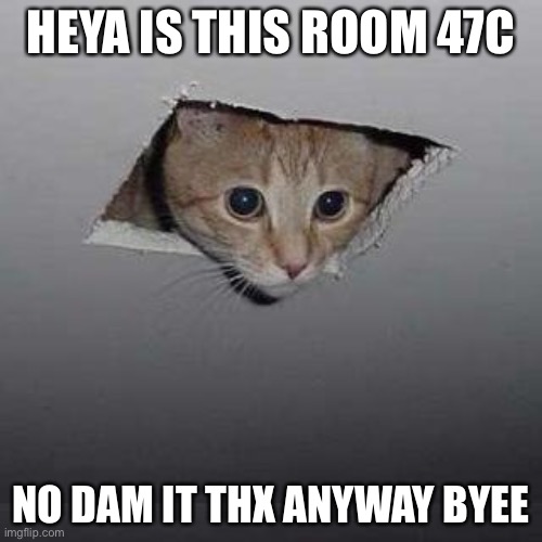 Help cat to room 47c | HEYA IS THIS ROOM 47C; NO DAM IT THX ANYWAY BYEE | image tagged in memes,ceiling cat | made w/ Imgflip meme maker