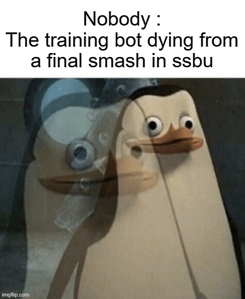 The bot irl | Nobody :
The training bot dying from a final smash in ssbu | image tagged in shocked skipper | made w/ Imgflip meme maker